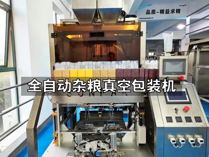 全自動雜糧真空包裝 糧磚自動包裝機(jī)